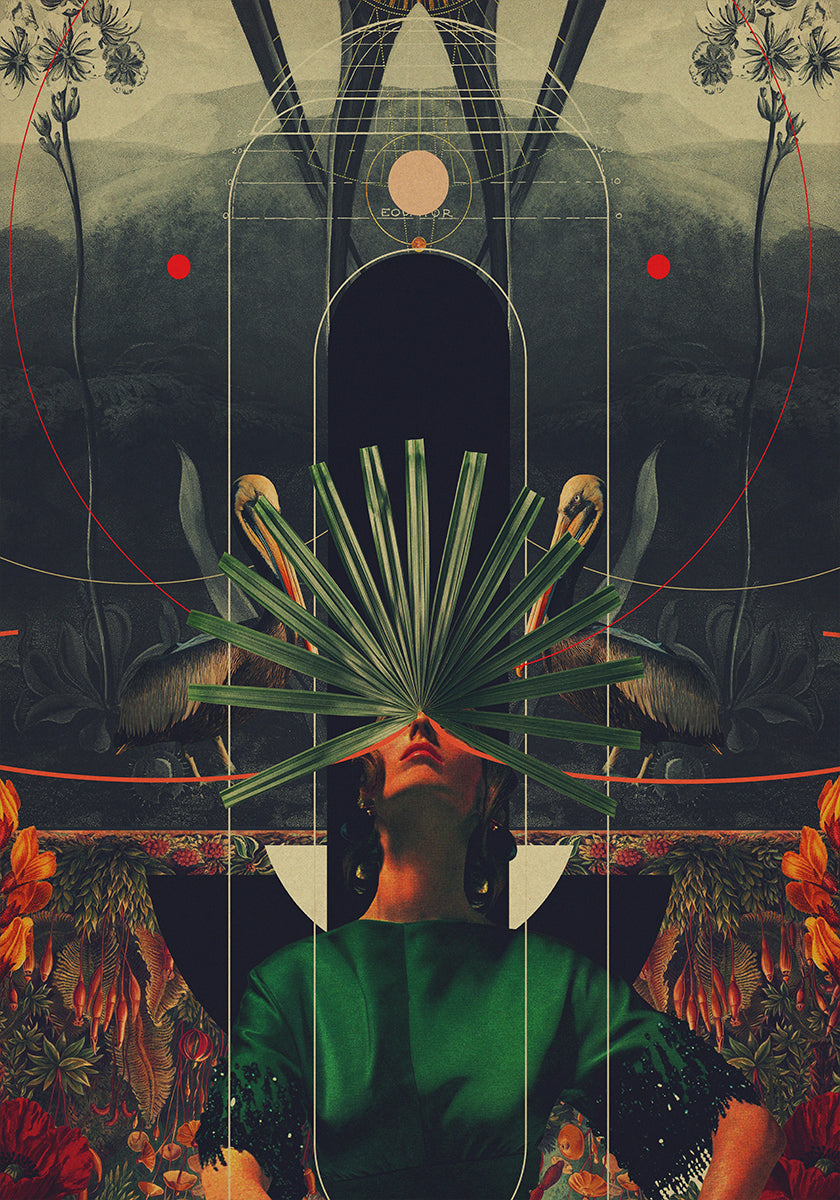 She Saw the Equator Poster