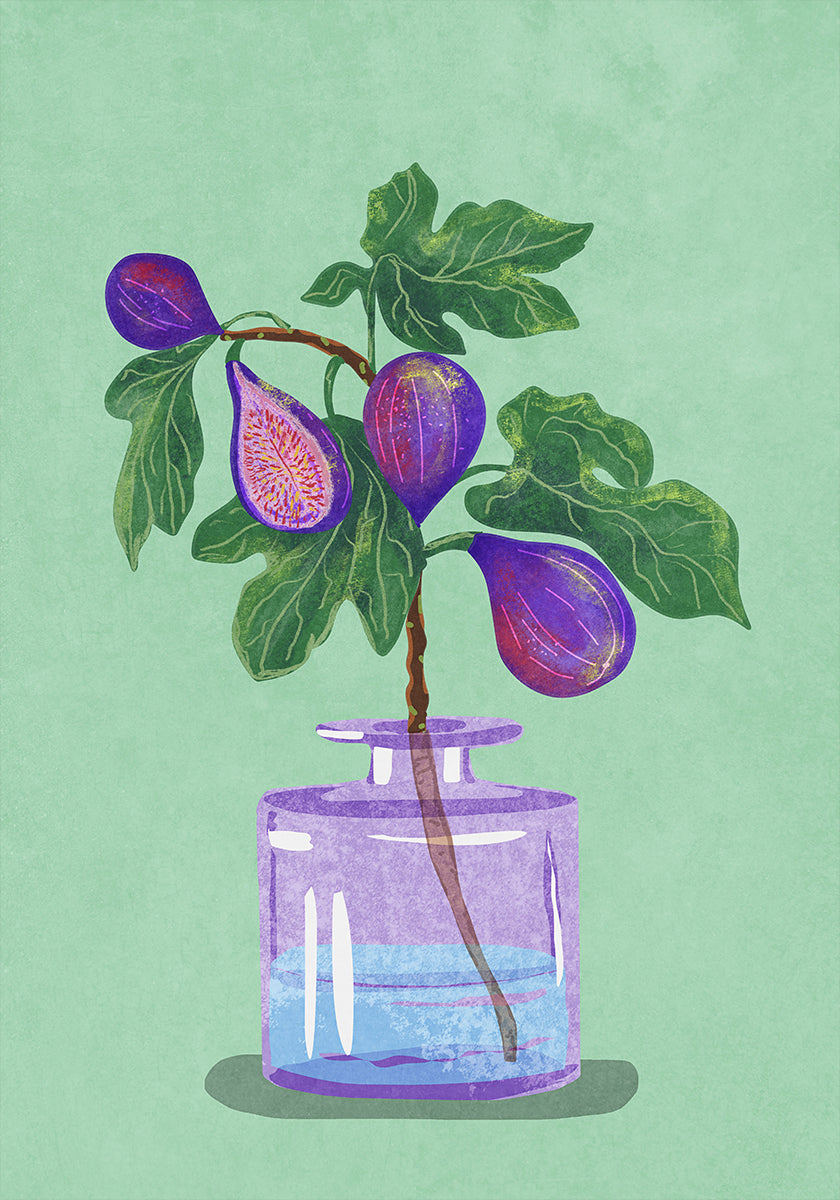 Fig Branch In Vase Poster