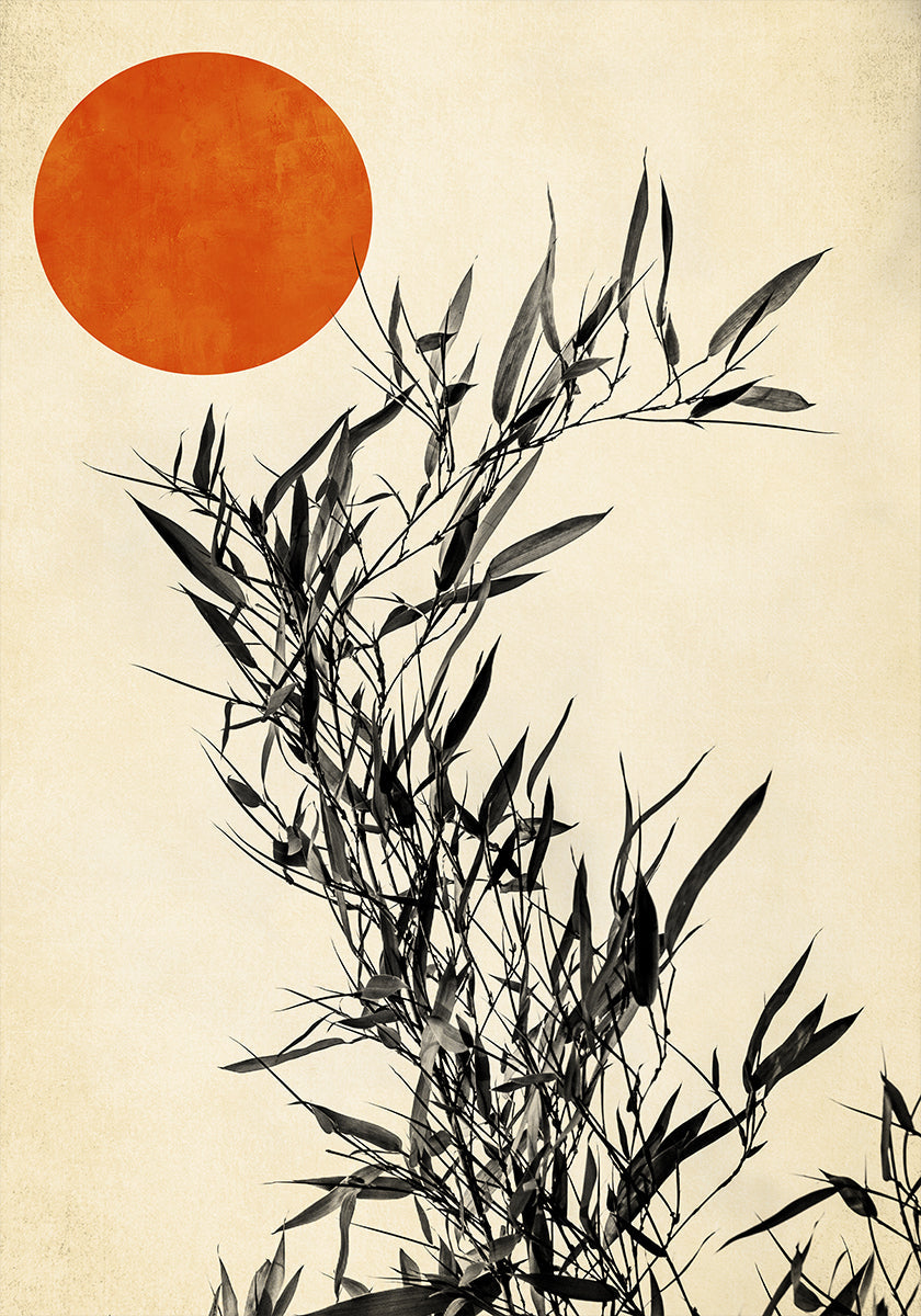 Japanese Birch Poster