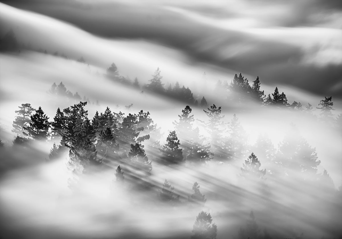 Whispers Through the Mist Poster