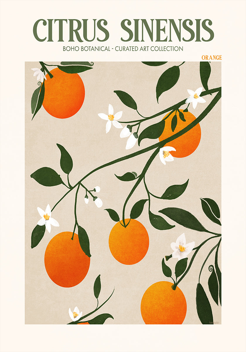 Orange Elegance Poster