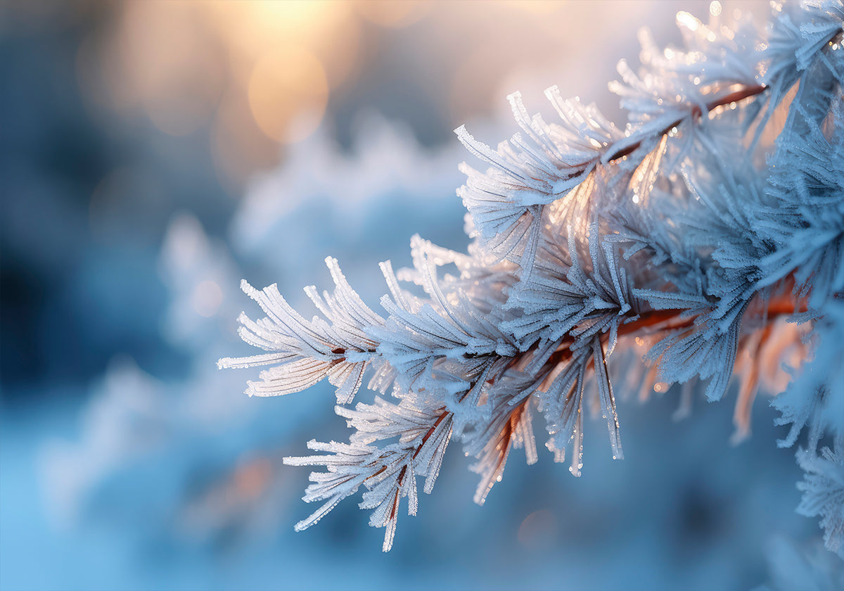 Frosted Serenity Poster