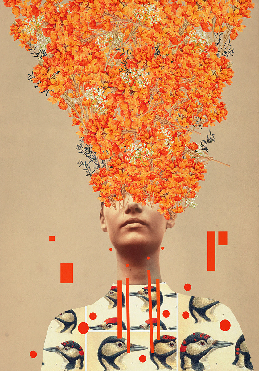 Bird Flight In Autumn Poster