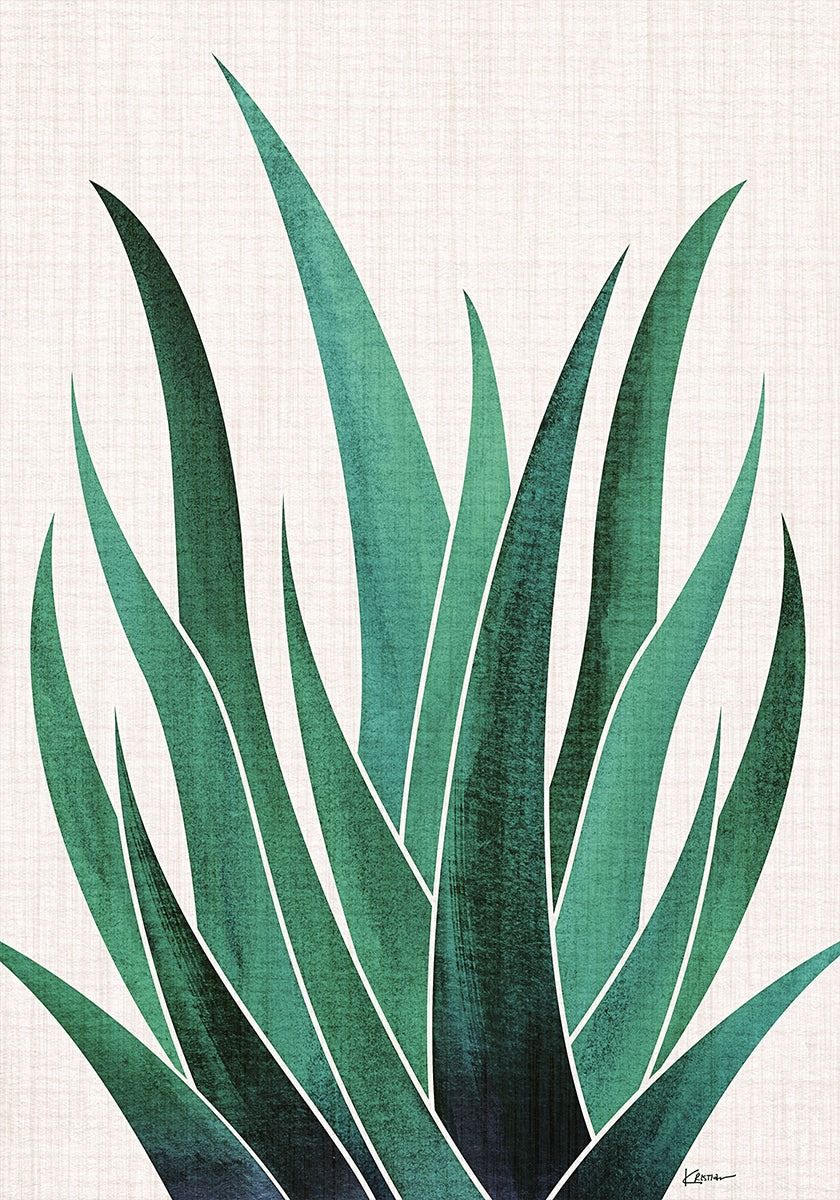 Desert Agave Cactus Poster
