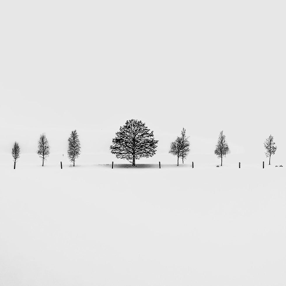 Together Alone Posters