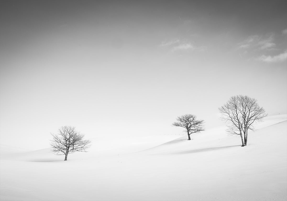 Just the Three of Us Poster