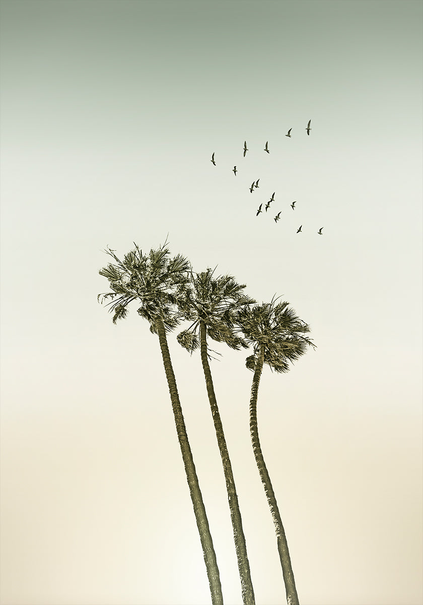 Vintage minimalist palm trees & sunset Poster