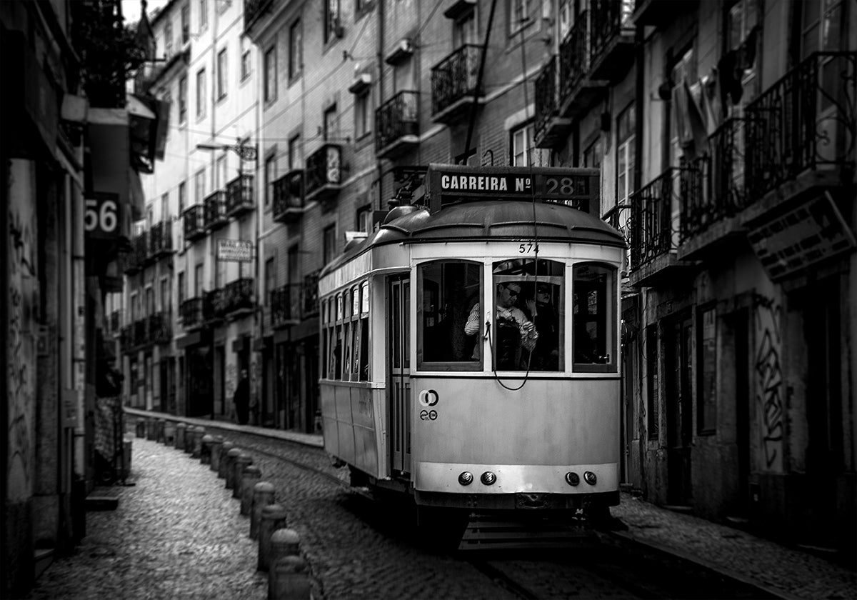 Carreira nº 28 Poster