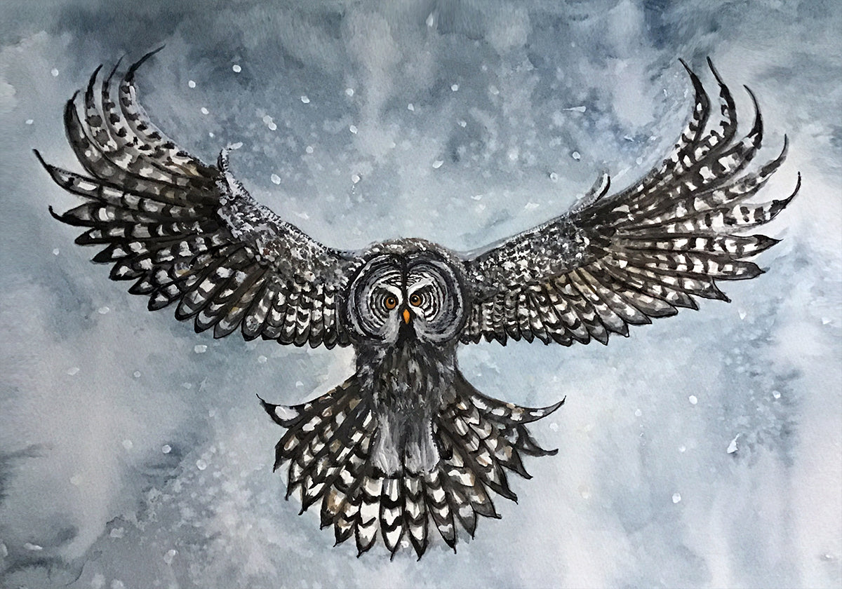 great gray owl Poster