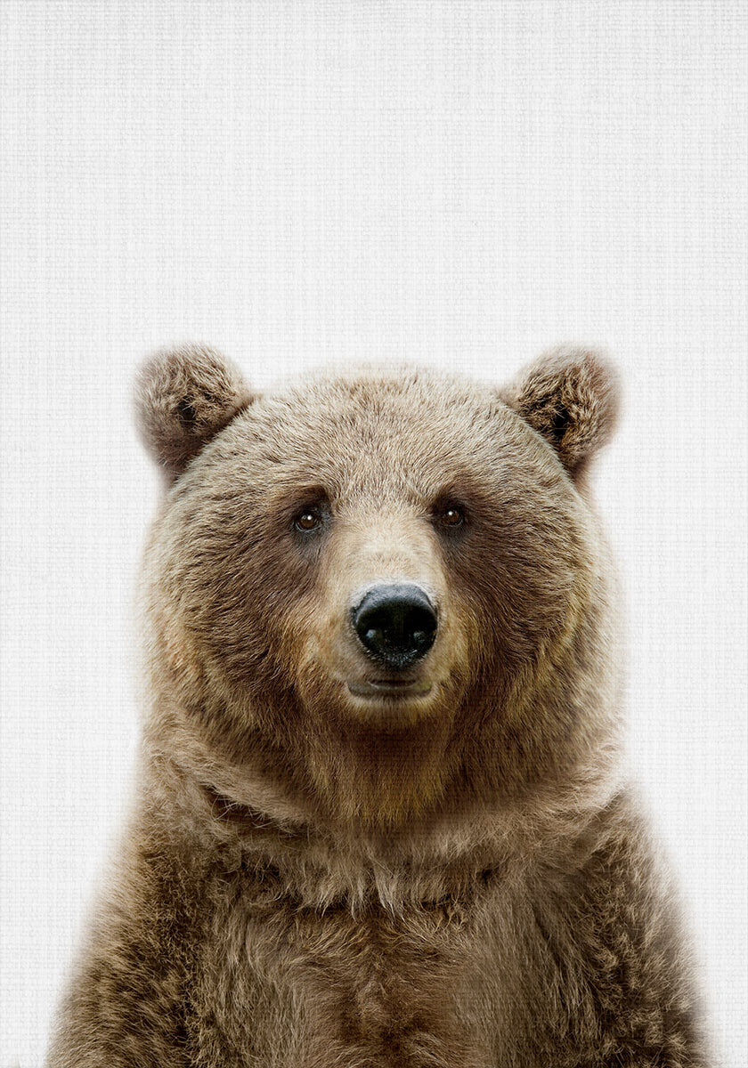 Peekaboo Bear Poster