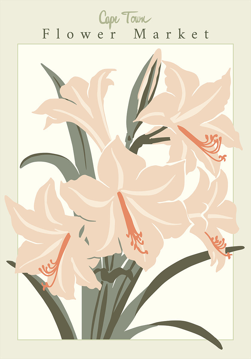 Flower Market Cap Town Amaryllis Poster