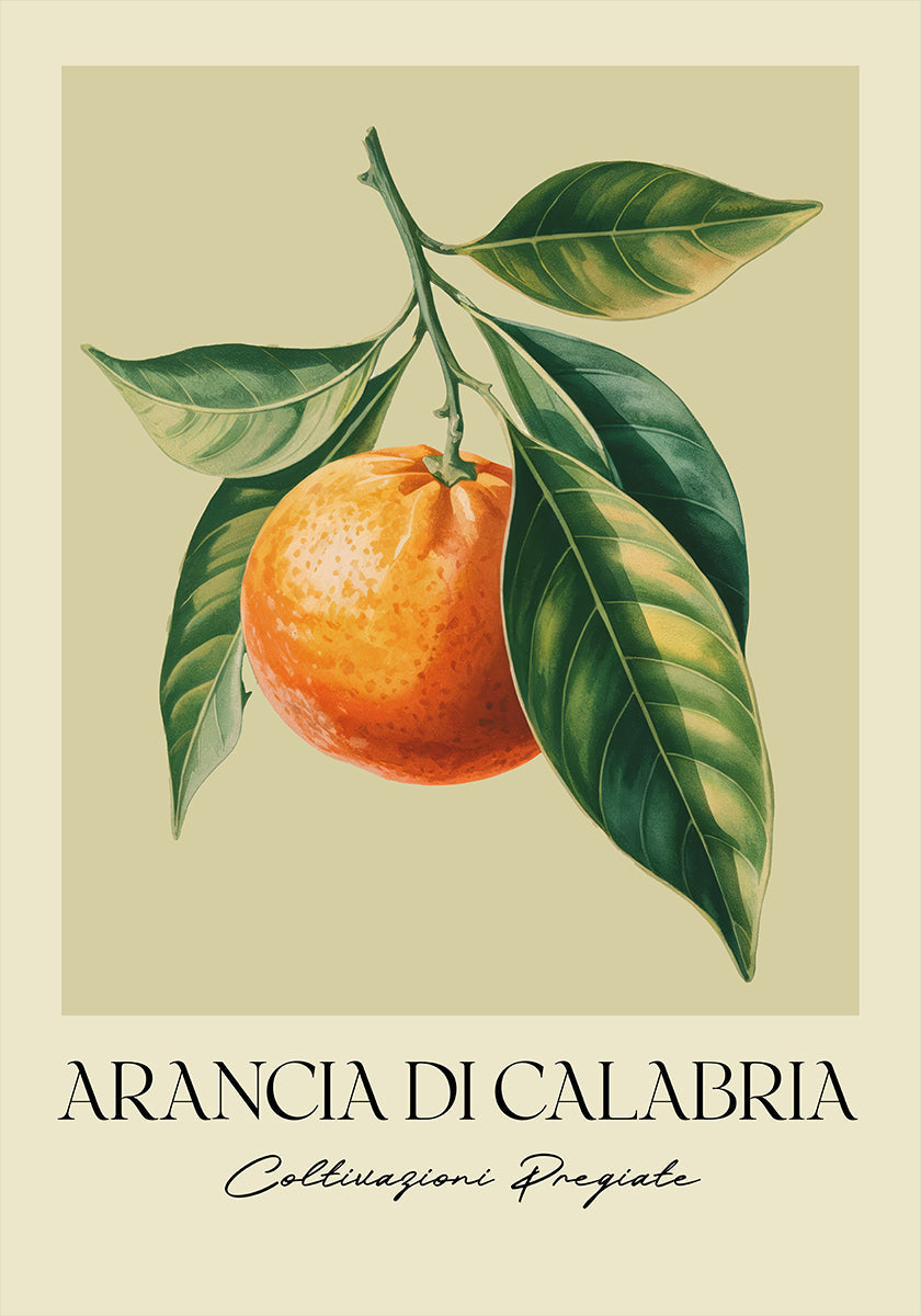 Arancia Di Calabria Plakat - Posterbox