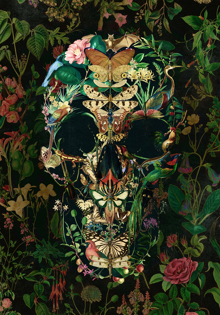 Papillon Skull Poster