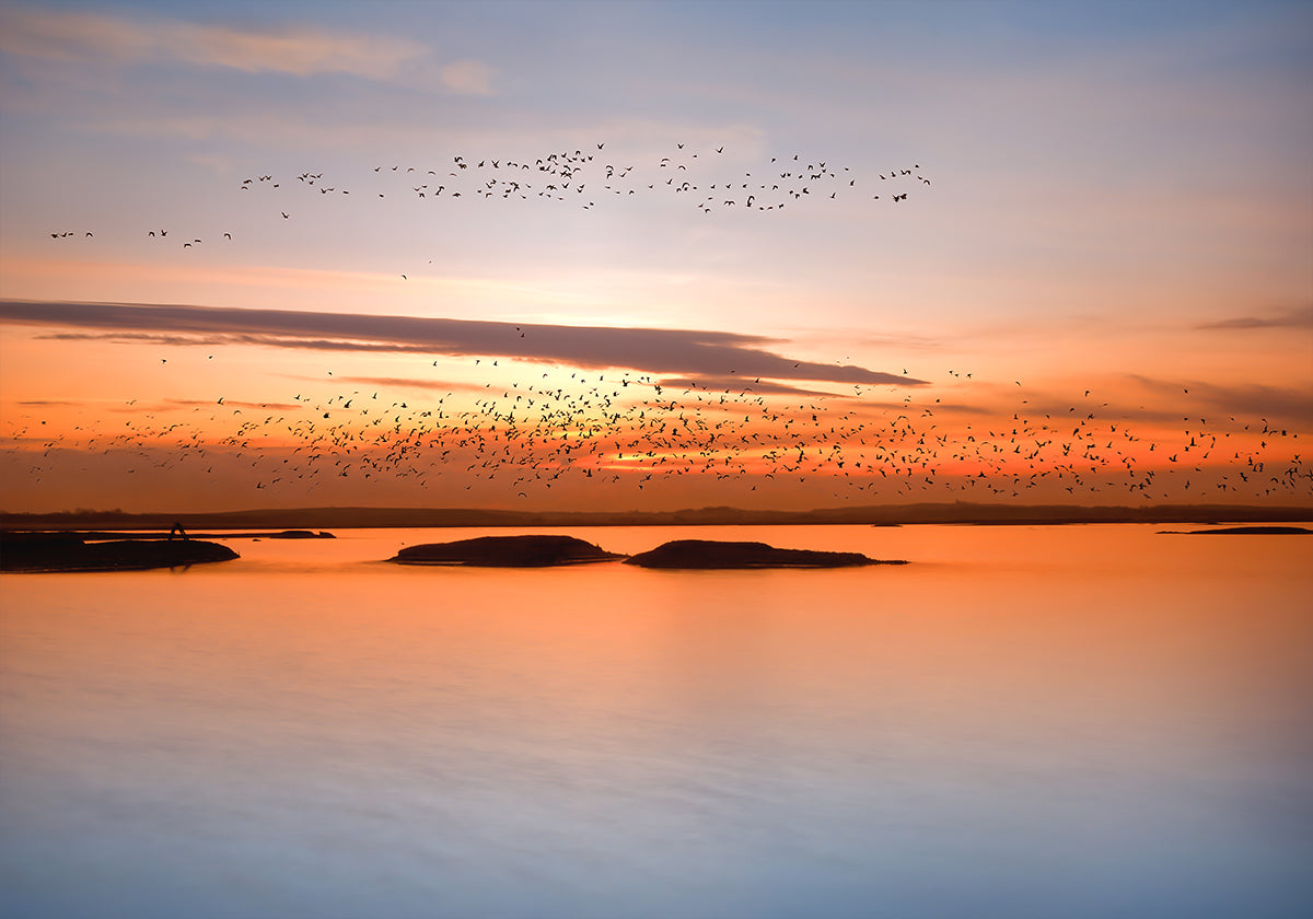 city ​​sunset Poster