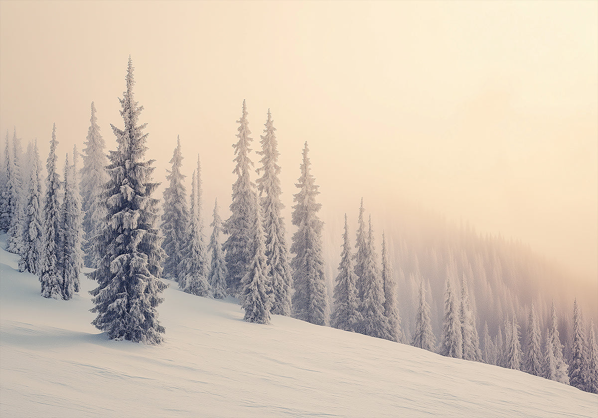 Winter Landscape Snowy Pines Poster