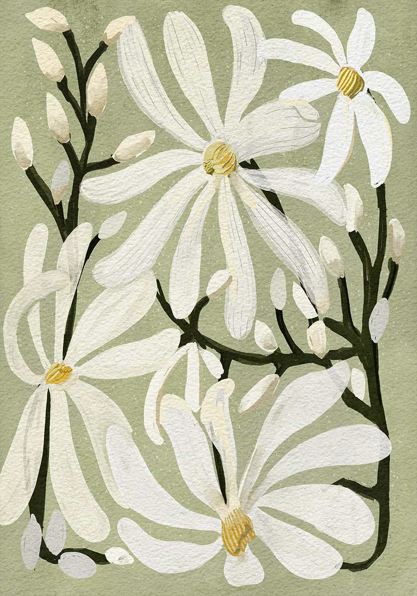 Star Magnolia Florals on Sage background Poster