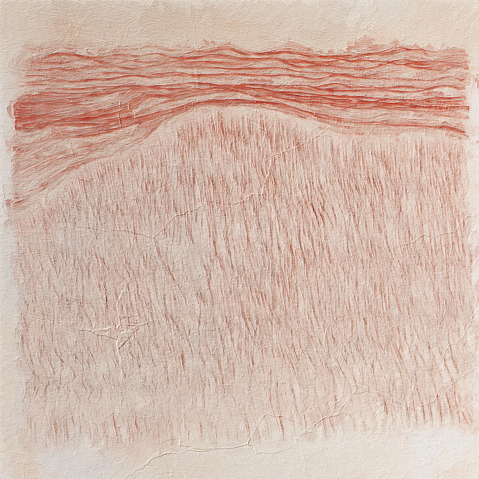 Whispering Textures Posters