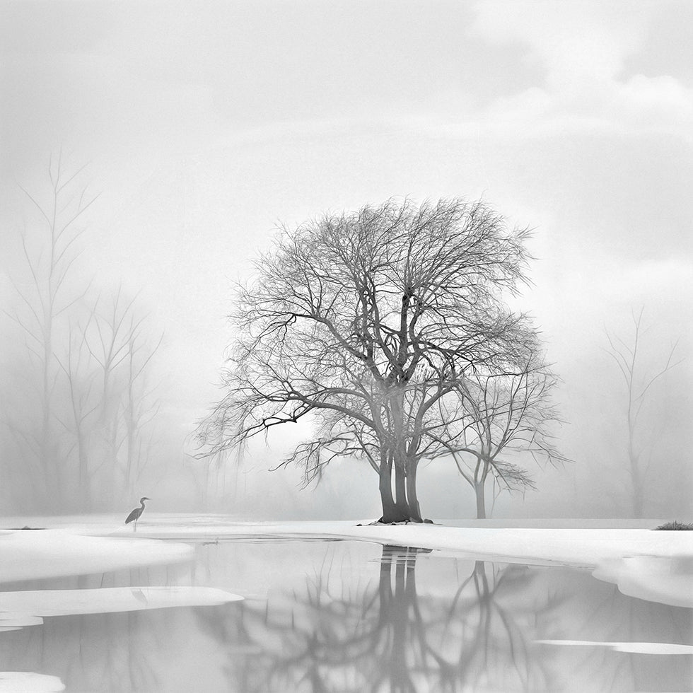 Tranquility after the snow Posters