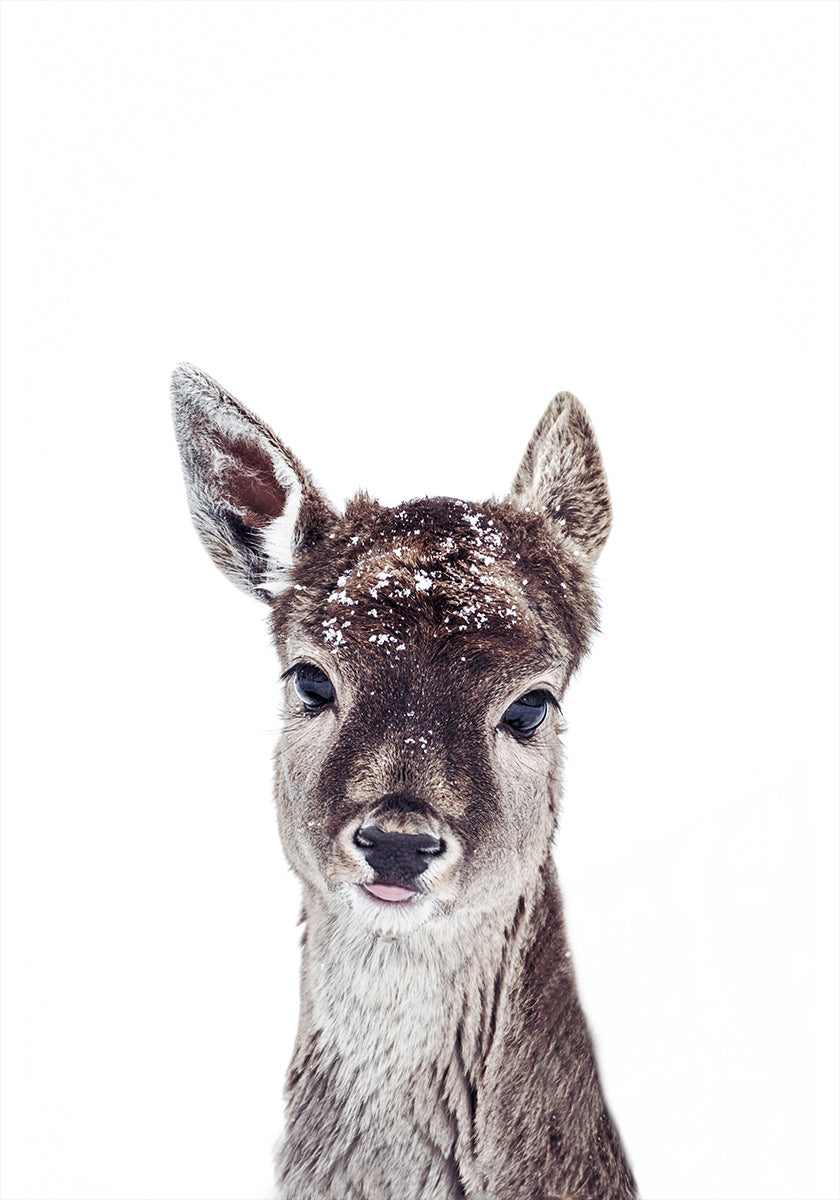 Little Fawn Fiona Poster