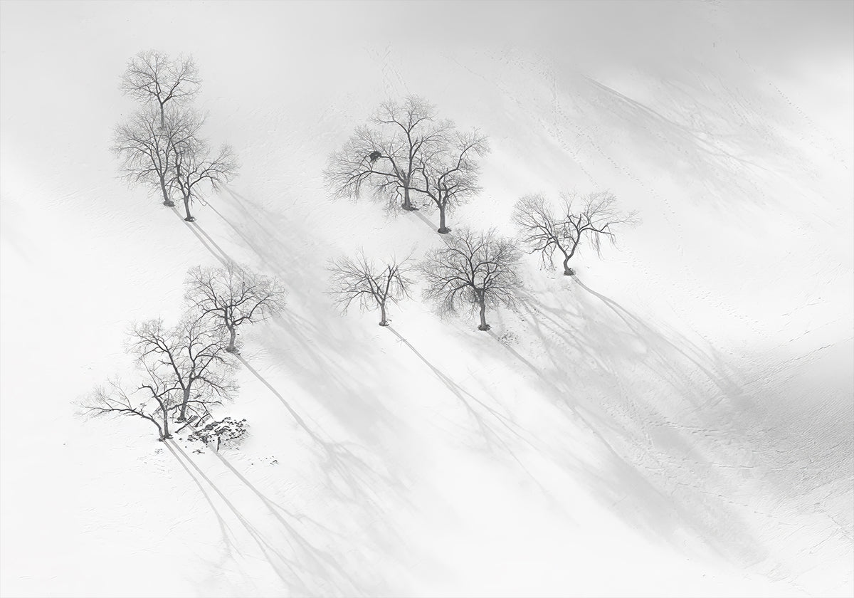 Winter dream - a still ballet Poster