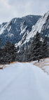 Frozen Flatiron Plakat - Posterbox