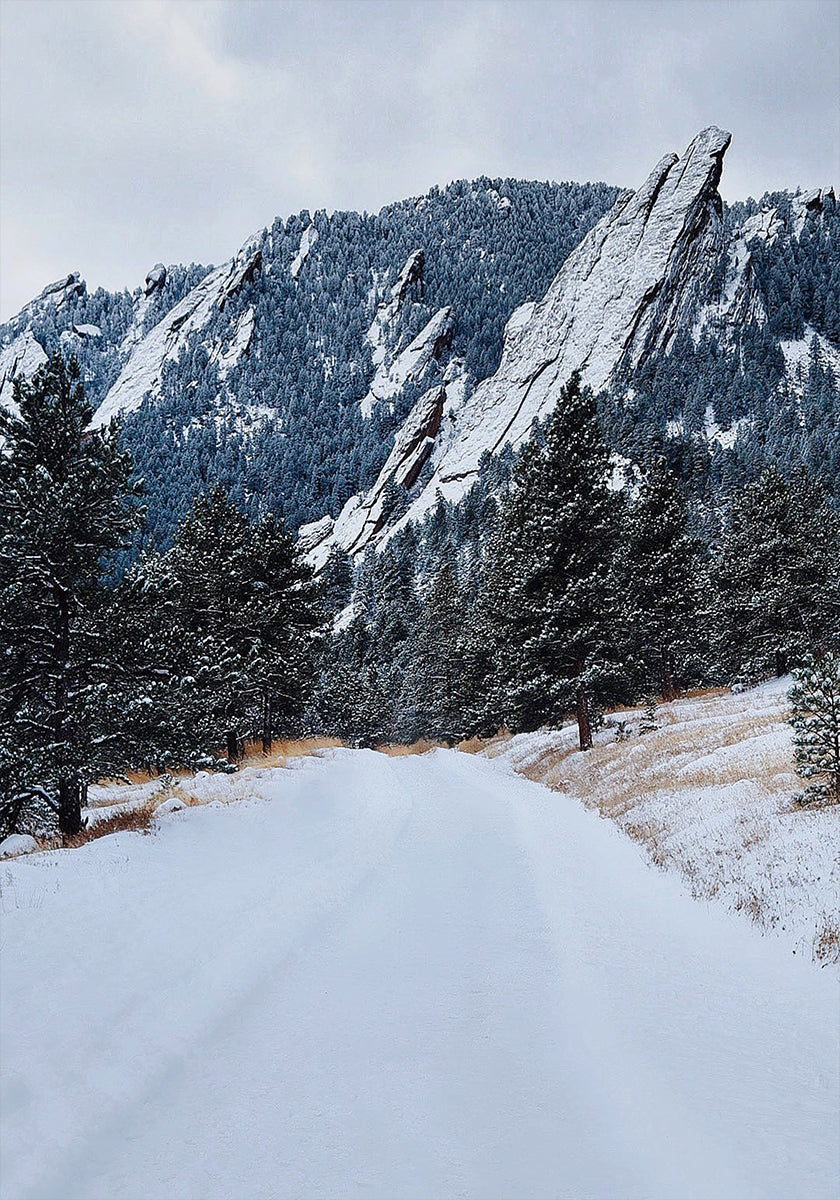 Frozen Flatiron Plakat - Posterbox