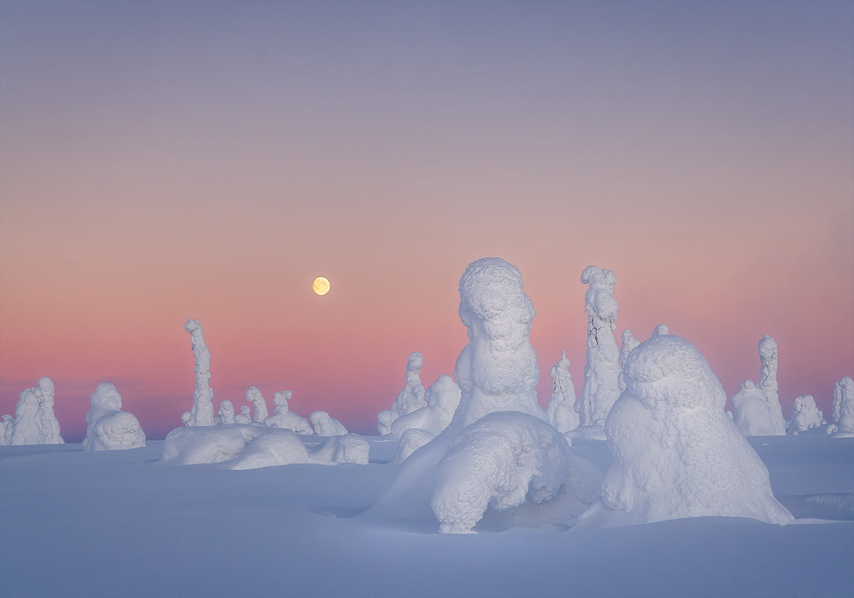 Shakespeare's Drama Poster