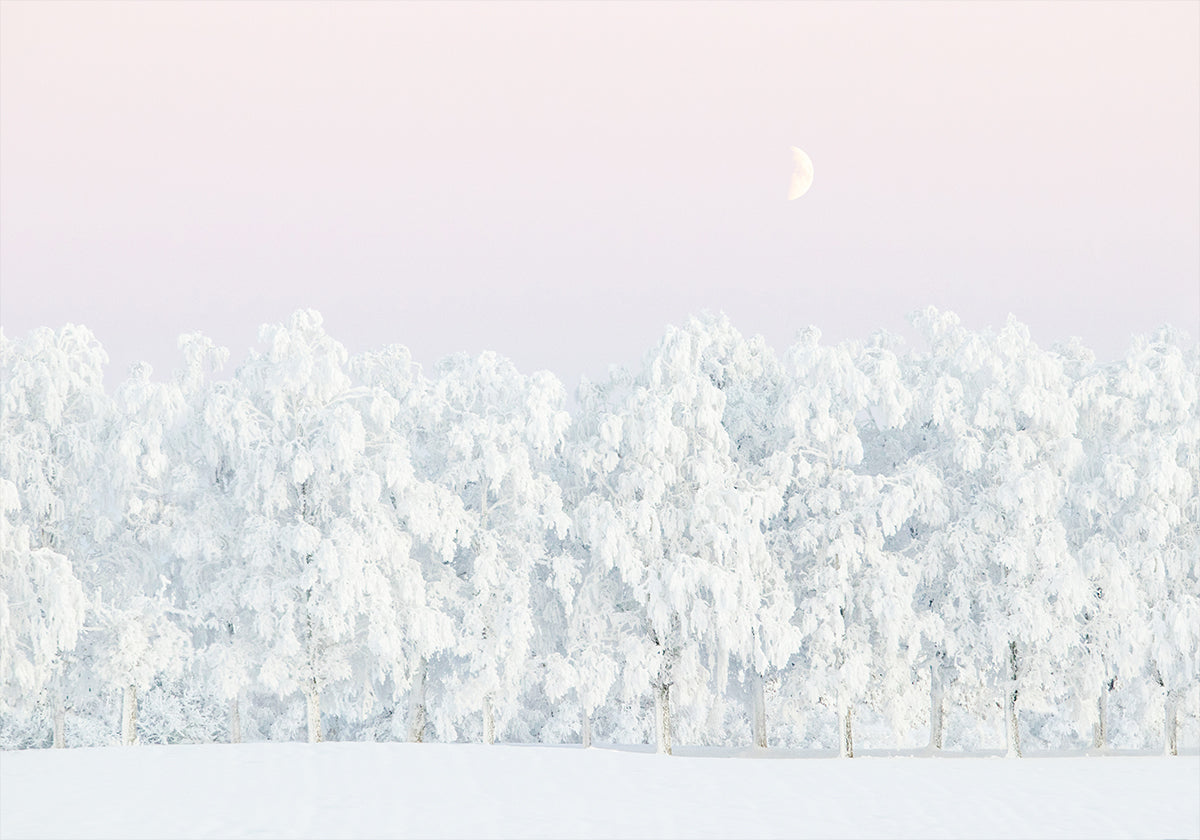 Pink winter magic Poster