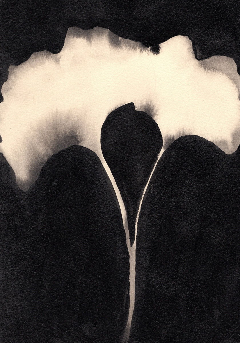 Gingko Leaves Pair In Poster