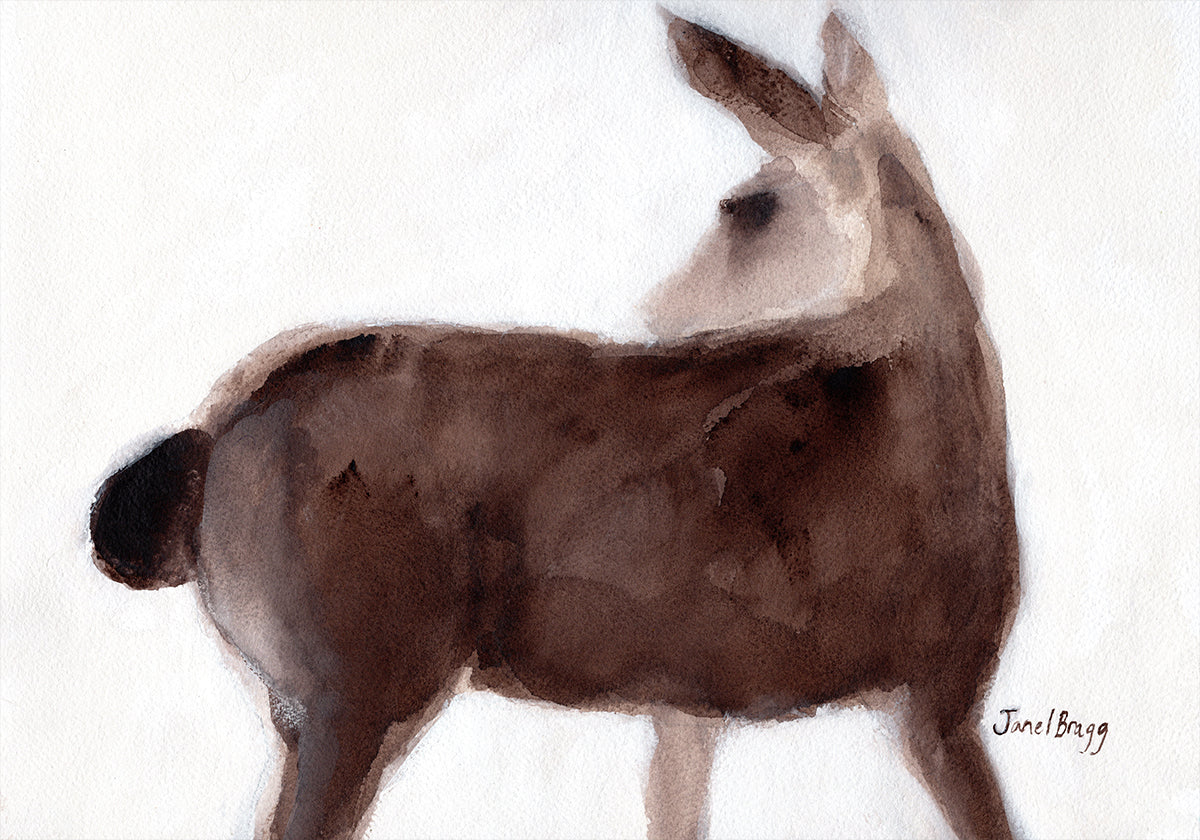 Deer On Creekside Lane Poster