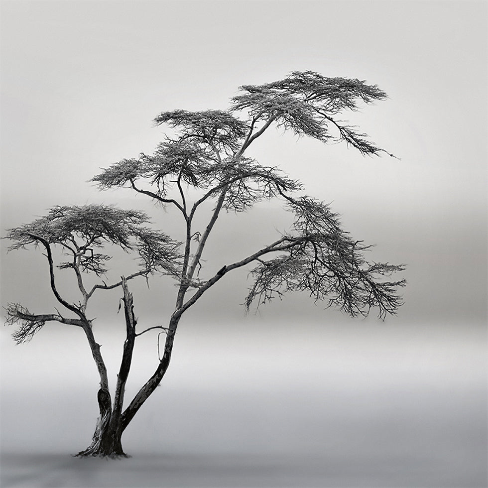 a very long story Poster