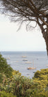 Capri Sea View Plakat - Posterbox