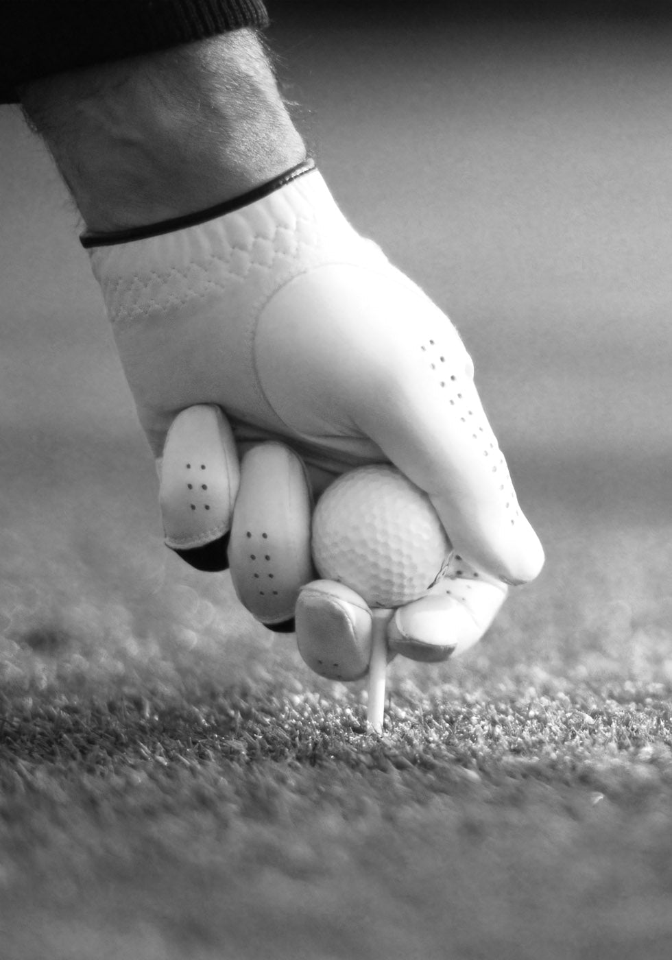 Golfer Teeing Up Poster - Posterbox.no