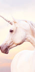 Unicorn Portrait Poster - Posterbox.no