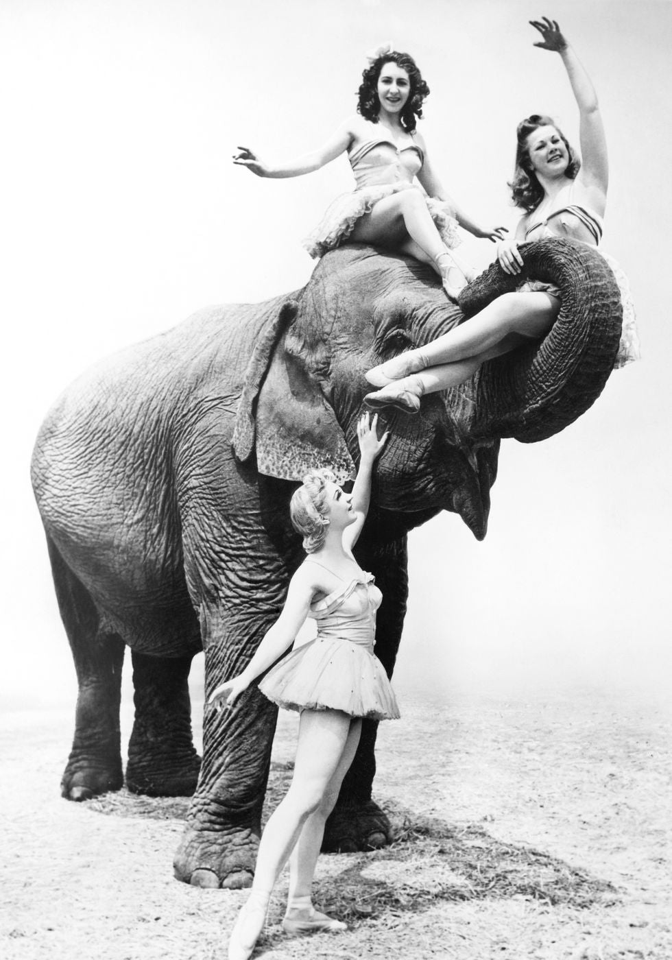 Women Riding Elephant Poster - Posterbox.no
