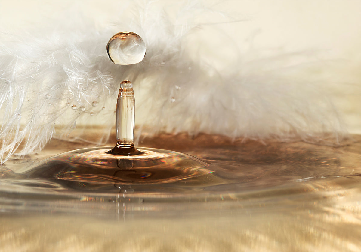 Golden feather drops