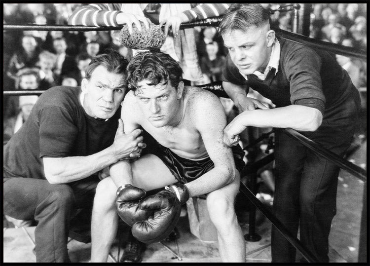 Boxer in Corner Poster - Posterbox.no