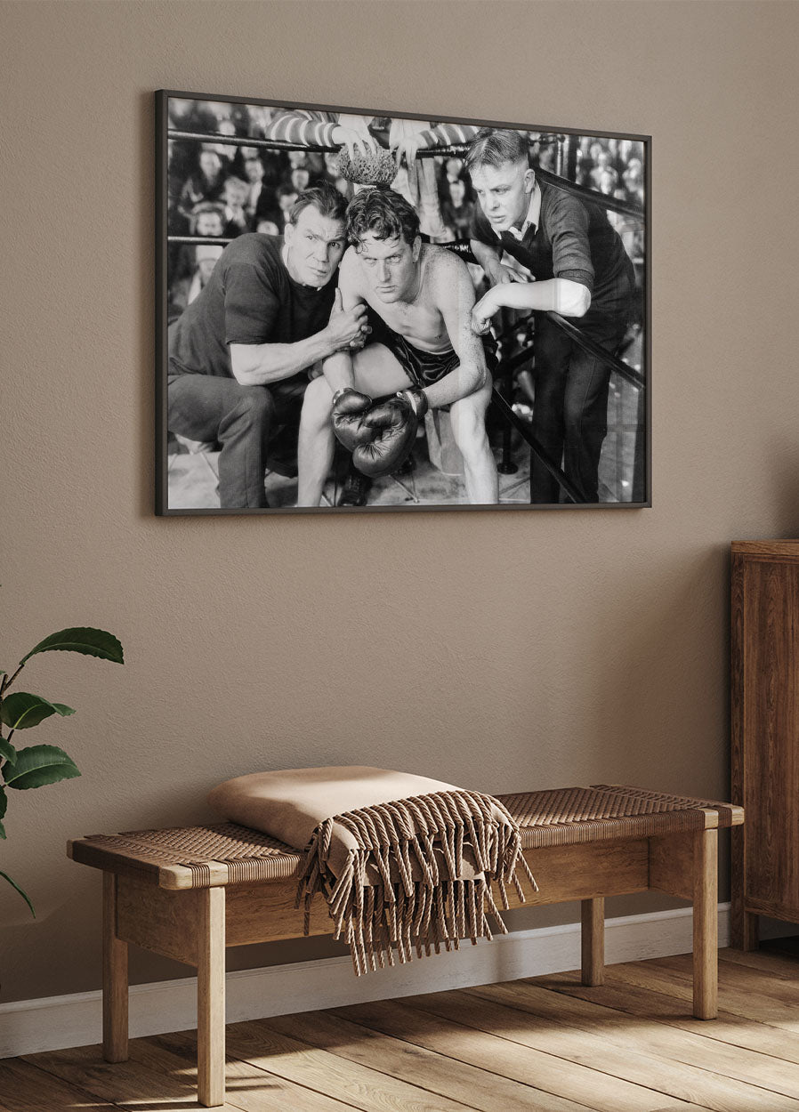 Boxer in Corner Poster - Posterbox.no