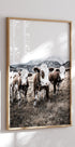 Cattle in Field Poster - Posterbox.no