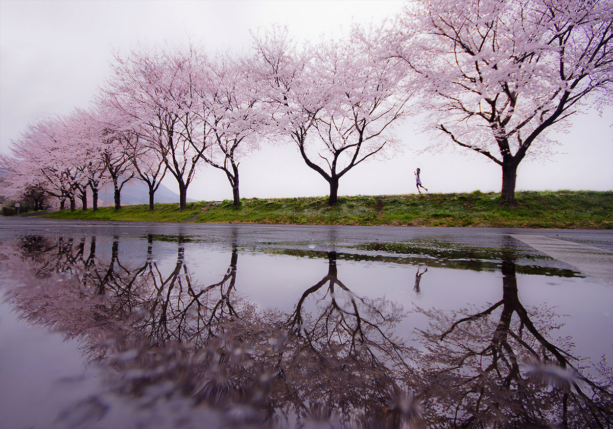 Rain of spring