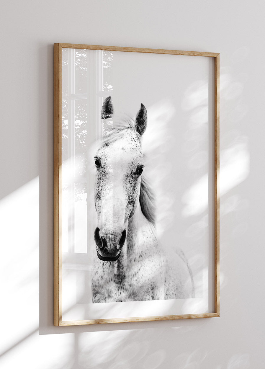 White Horse Poster - Posterbox.no