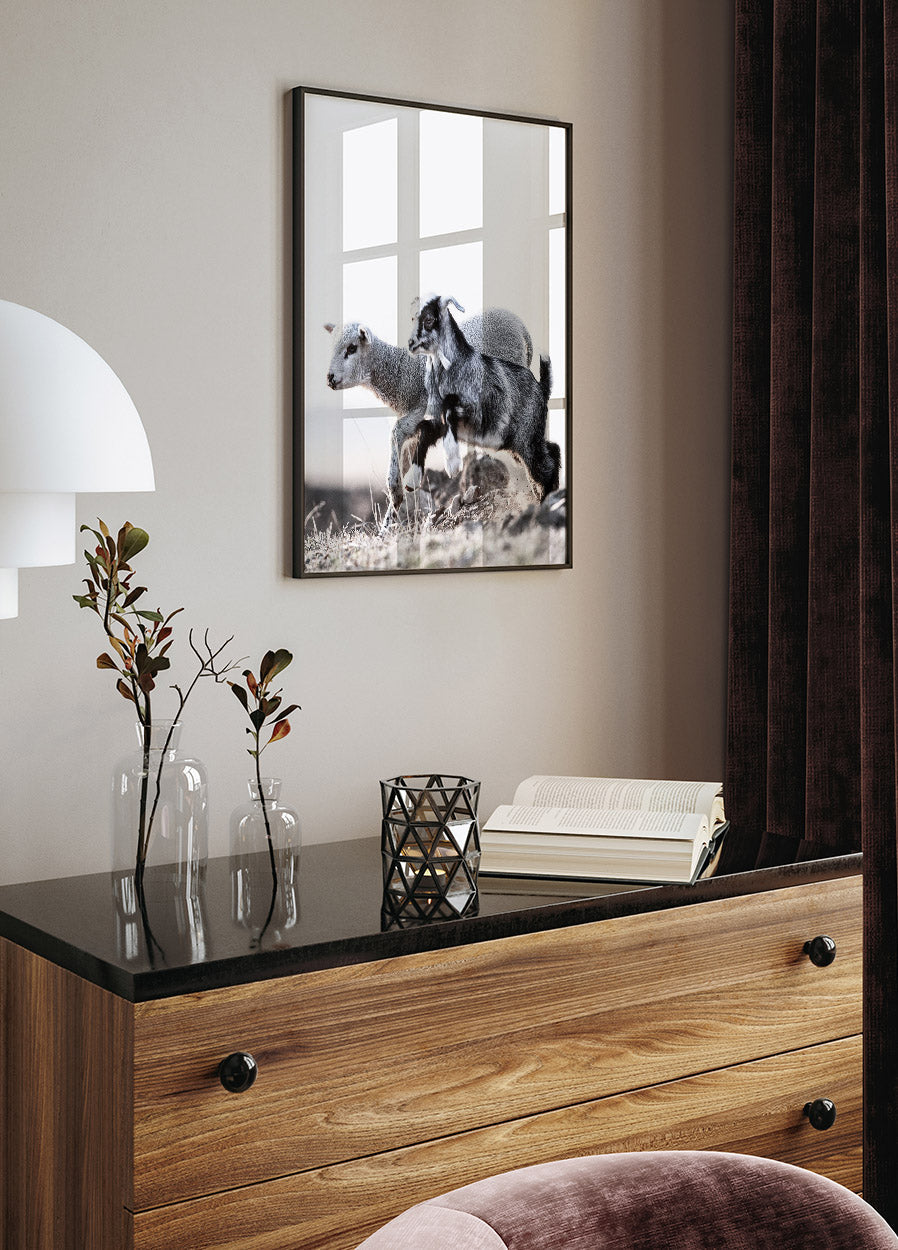 Lamb Poster - Posterbox.no