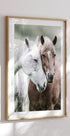 Wild Horses Close Up Poster - Posterbox.no