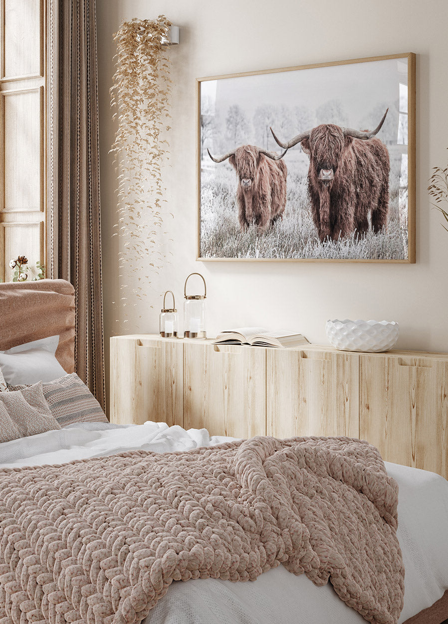 Scottish Cattle Poster - Posterbox.no