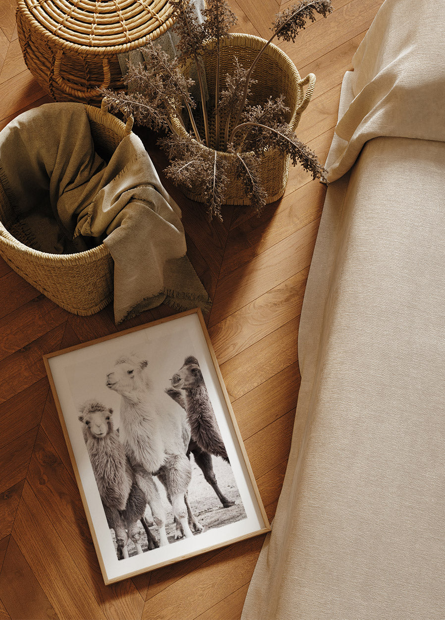 Camels in the Desert Poster - Posterbox.no