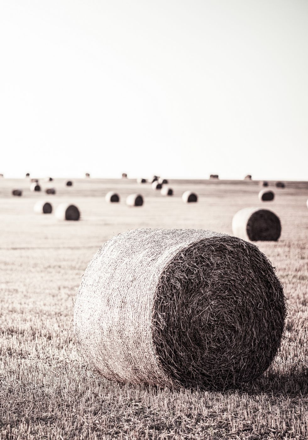 Rustic Hay Bale Poster - Posterbox.no