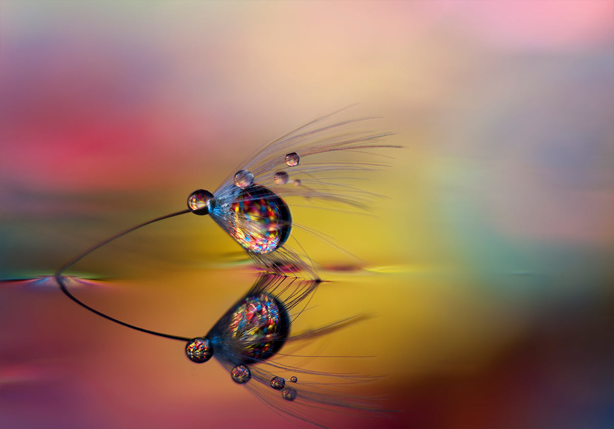 Colorize the darkness