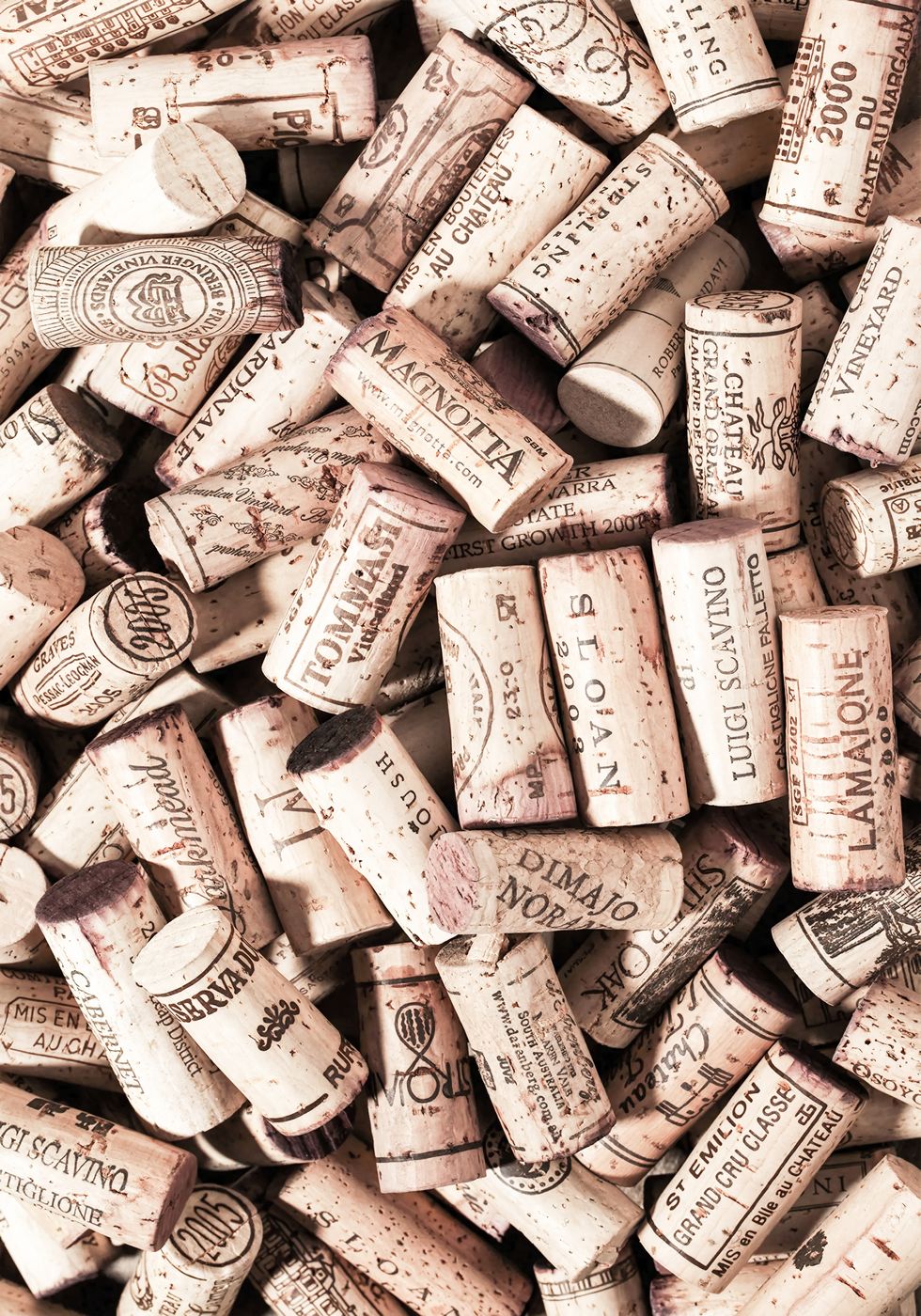 Wine Corks Collection Poster - Posterbox.no