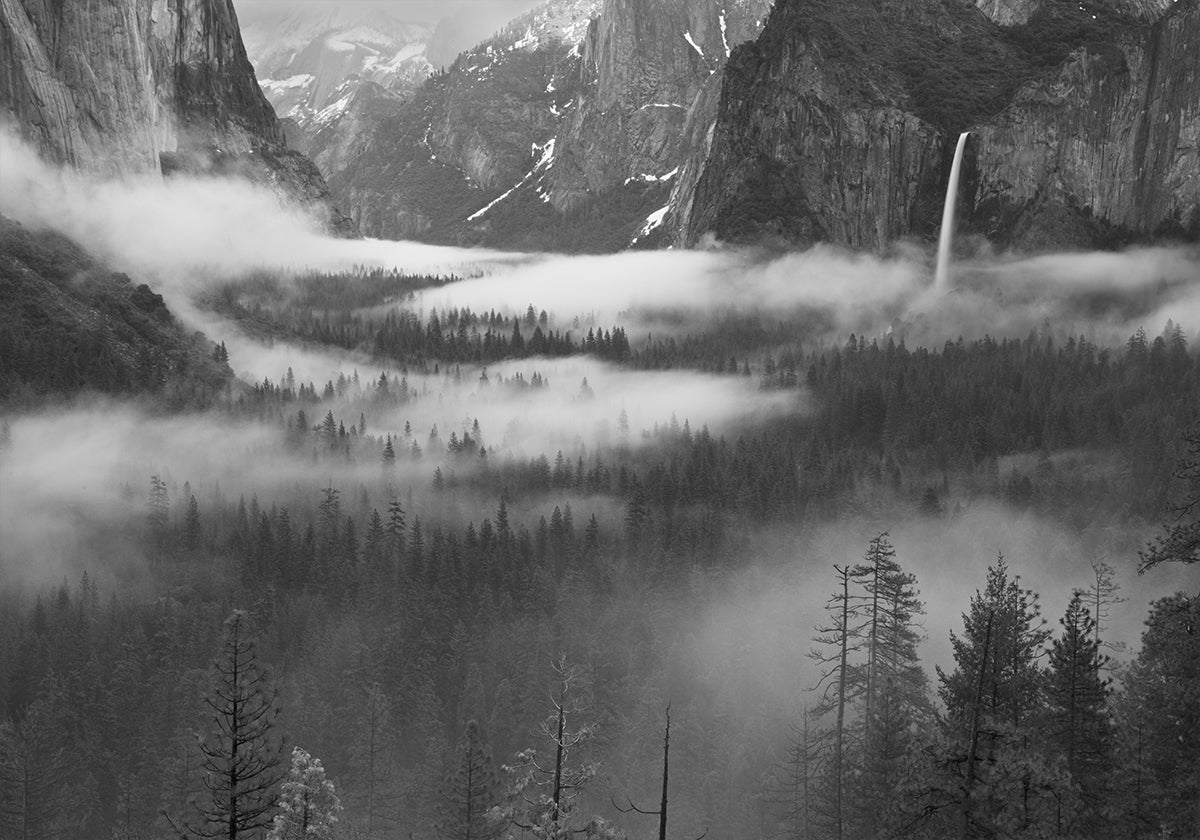 Fog Floating In Yosemite Valley