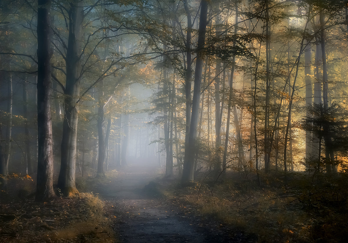 autumn symphony Poster